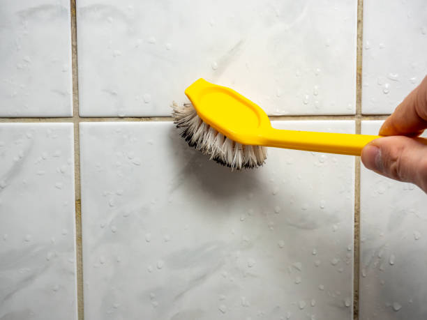 Best Mold Remediation Experts  in Kearny, NJ