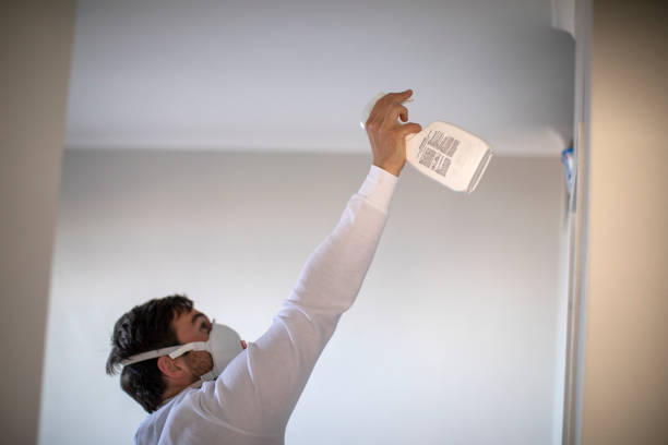 Best Crawl Space Mold Removal  in Kearny, NJ