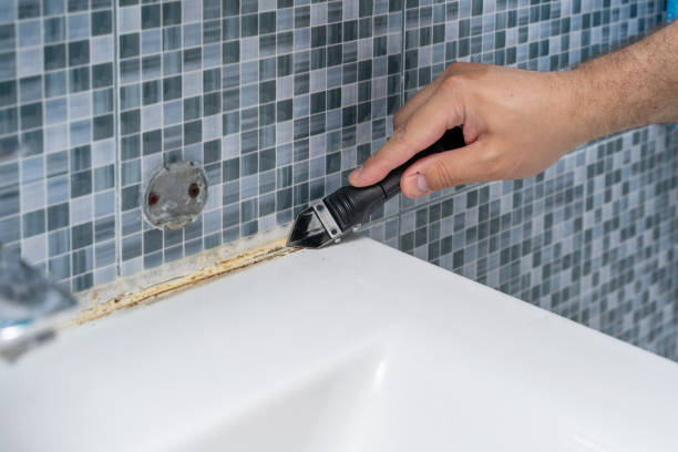 Best Commercial Mold Removal  in Kearny, NJ