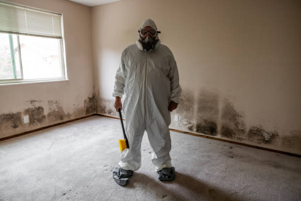 Best Professional Mold Removal  in Kearny, NJ